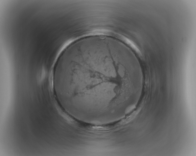 X0000112211275200908071447