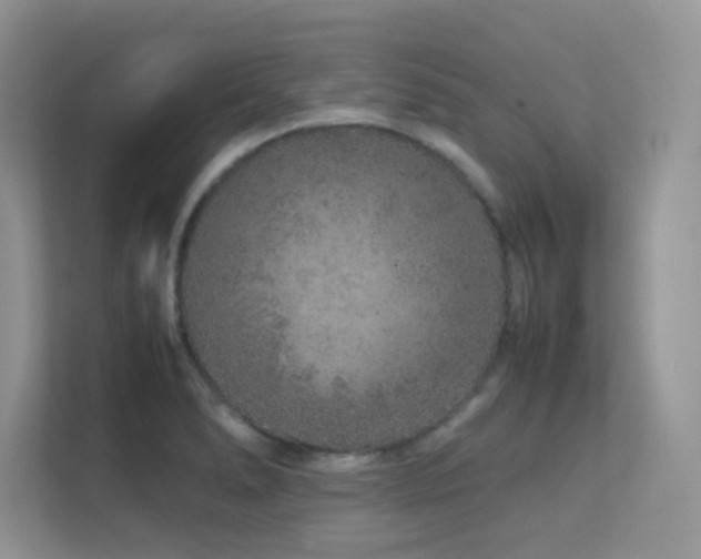 X0000112211278200908071447