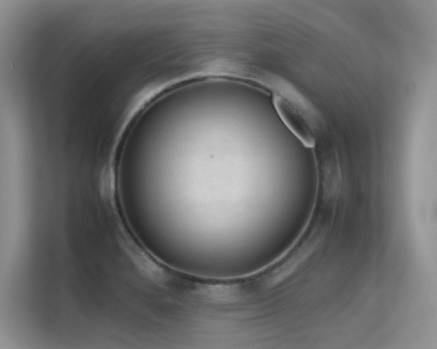 X0000112211280200908071447