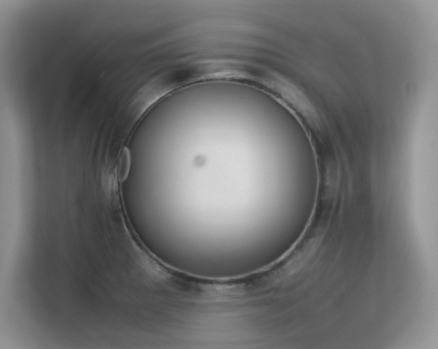 X0000112211281200908071447