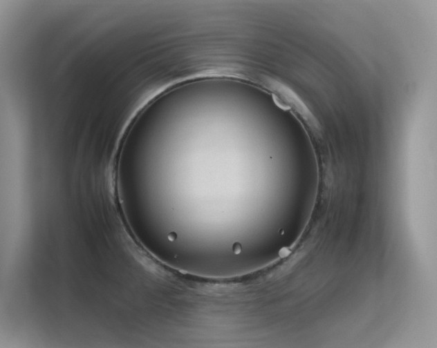 X0000112211284200908071446