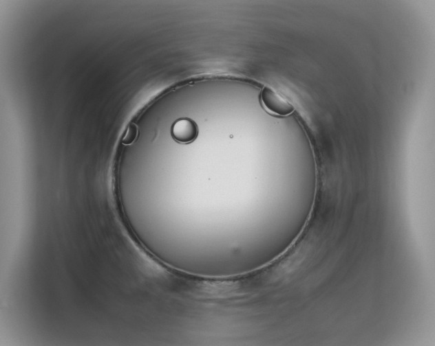 X0000112211285200908071446