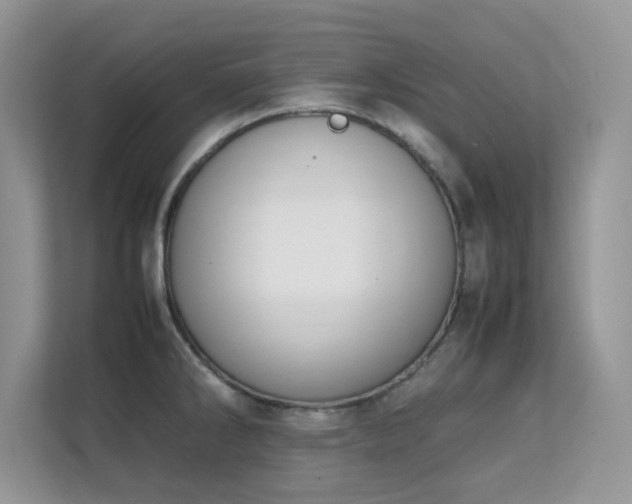 X0000112211286200908071446
