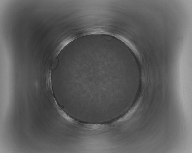 X0000112211289200908071446