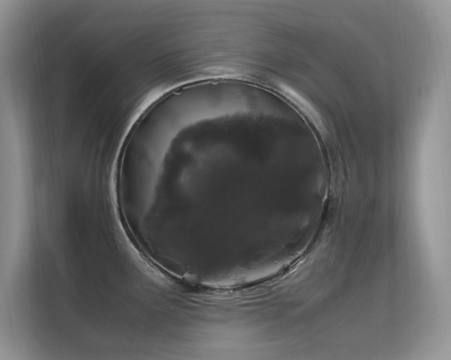 X0000112211291200908071446