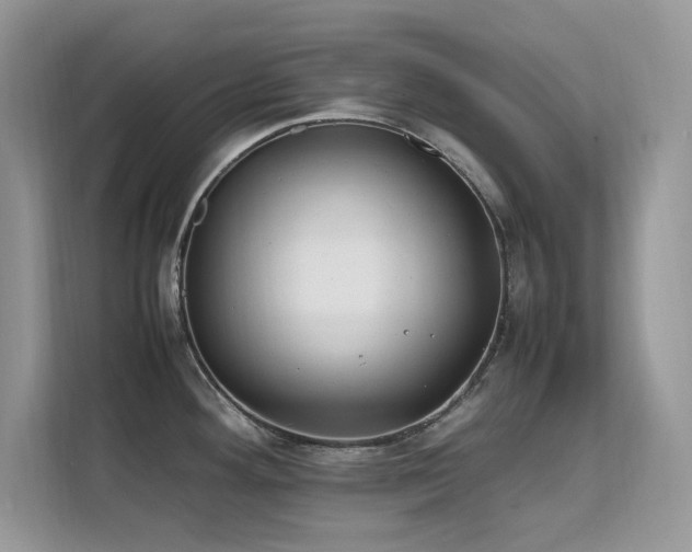 X0000112211292200908071446