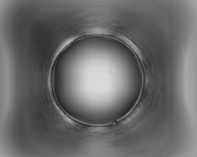 X0000112211293200908071446