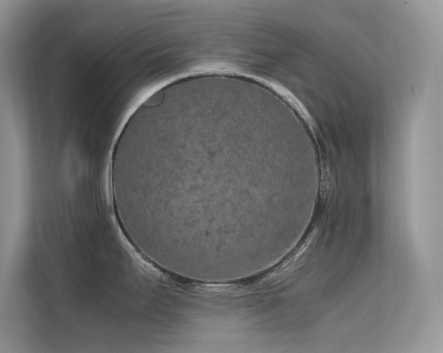 X0000112211295200908071446