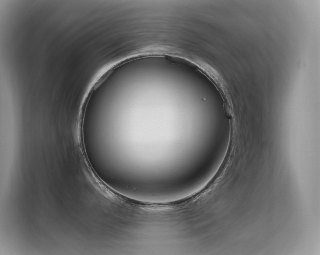 X0000112211296200908071446