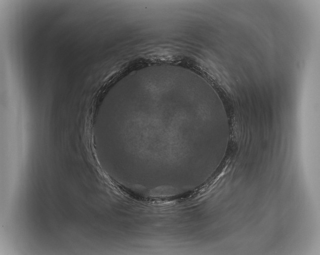 X0000112211297200908071446