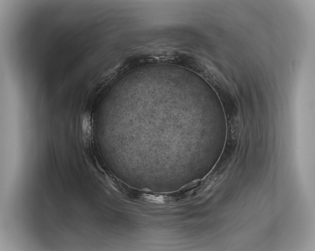 X0000112211298200908071446