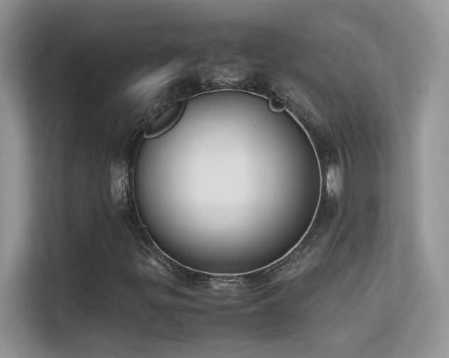 X0000112211299200908071446