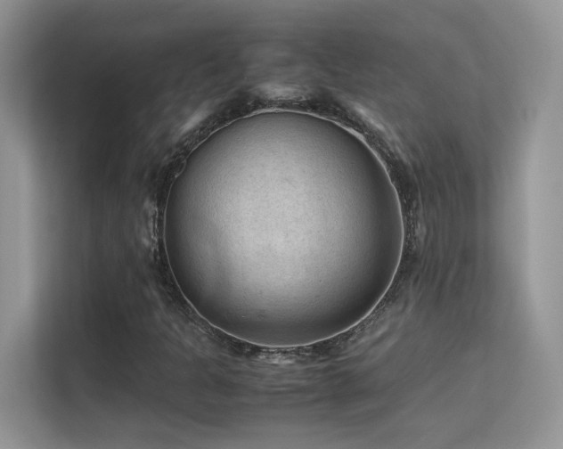 X0000112211301200908071446