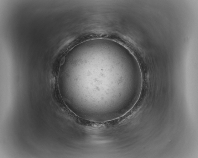 X0000112211302200908071446