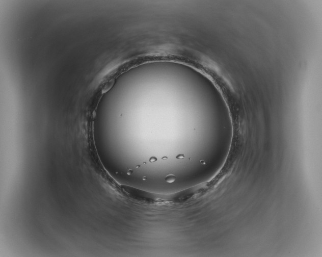 X0000112211304200908071446
