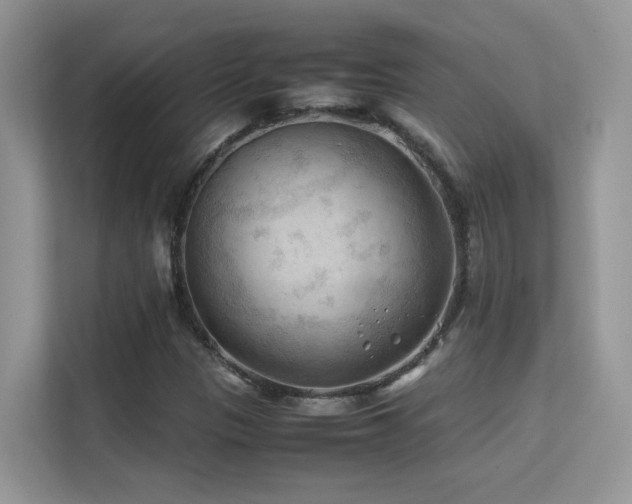 X0000112211305200908071446