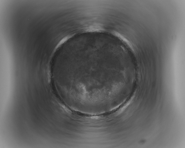 X0000112211306200908071446