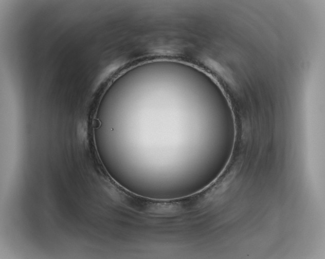 X0000112211307200908071446