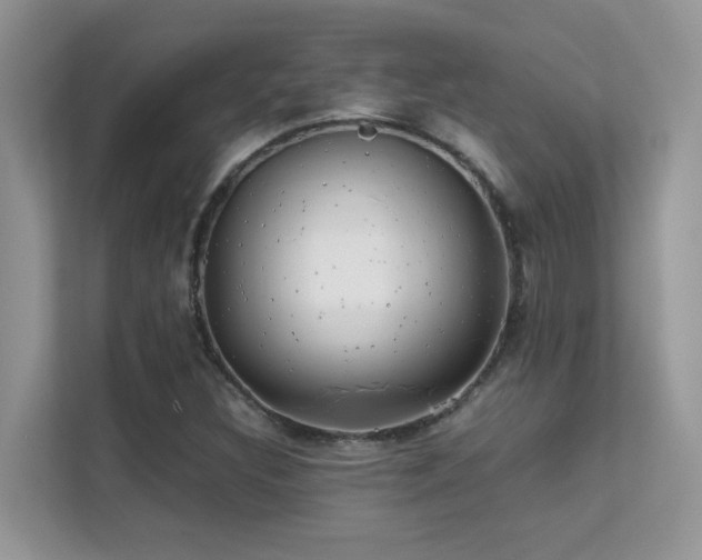 X0000112211308200908071446