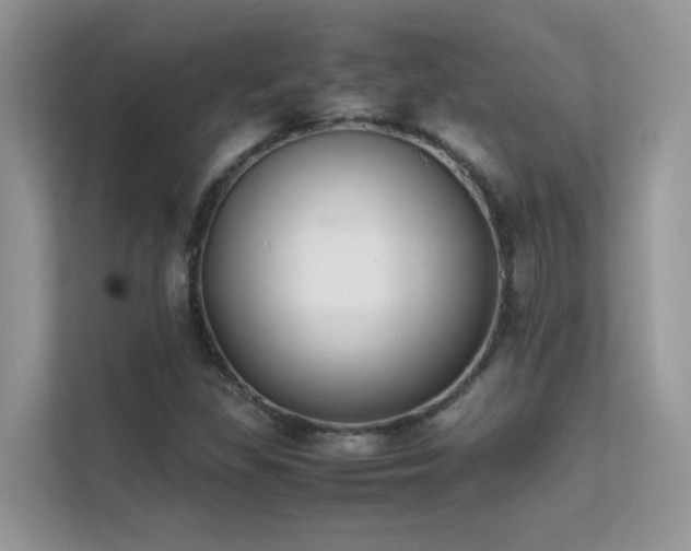 X0000112211309200908071446