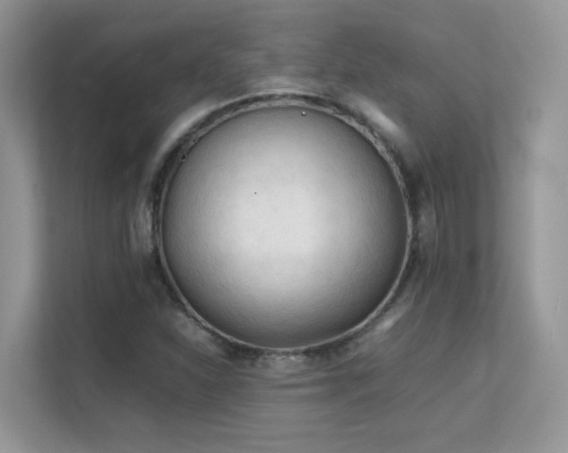 X0000112211310200908071446