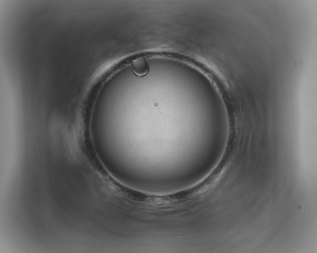 X0000112211311200908071446