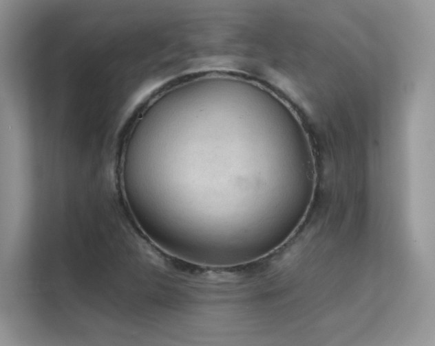 X0000112211312200908071446