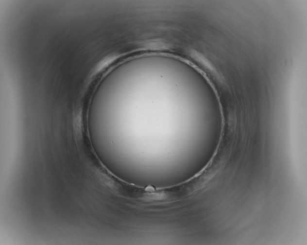 X0000112211315200908071446