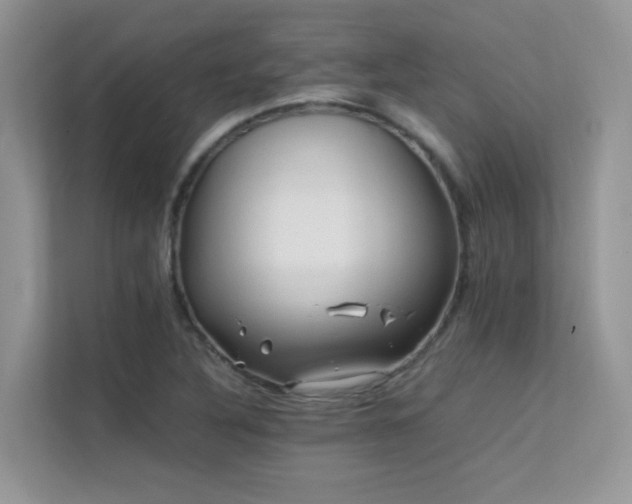 X0000112211316200908071446