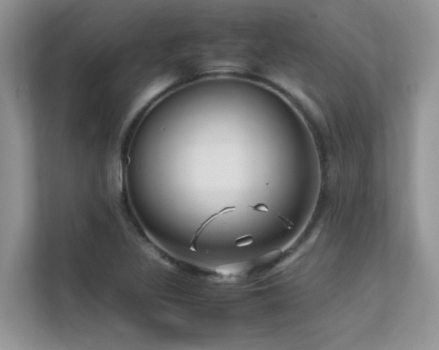 X0000112211317200908071446