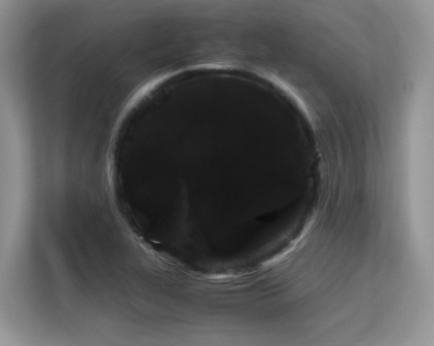 X0000112211319200908071446