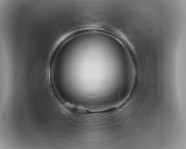 X0000112211320200908071446