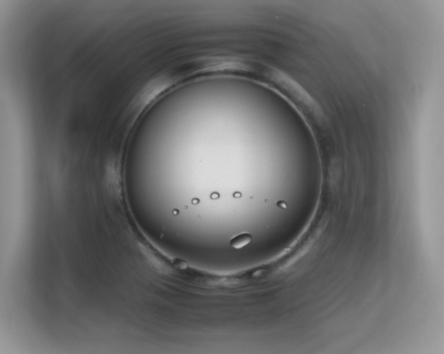 X0000112211321200908071446