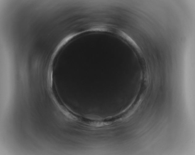 X0000112211323200908071446