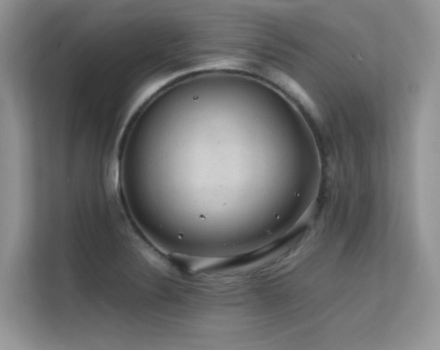 X0000112211324200908071446