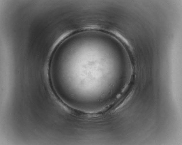 X0000112211325200908071446