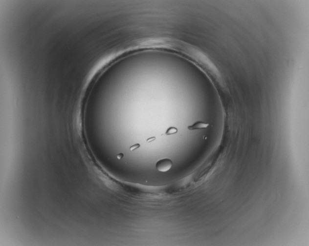 X0000112211328200908071446