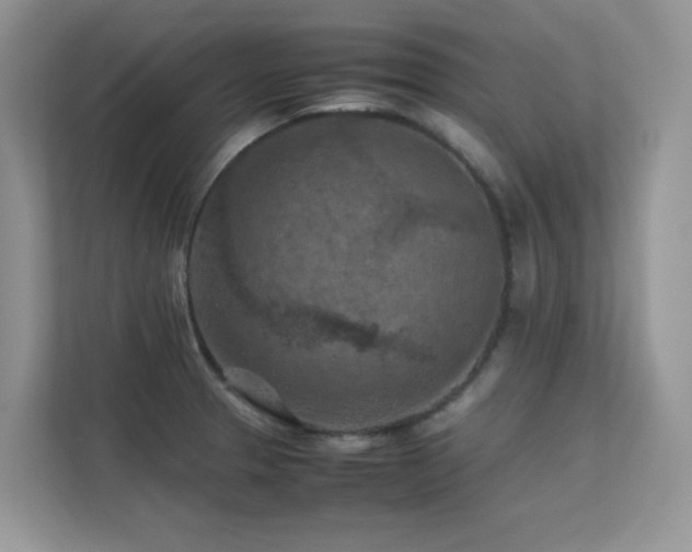 X0000112211329200908071446