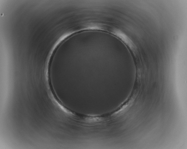 X0000112211331200908071446