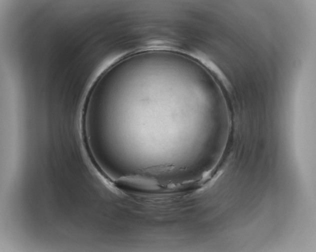 X0000112211333200908071446