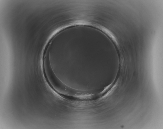 X0000112211334200908071446