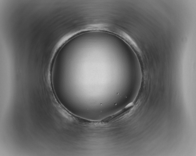 X0000112211336200908071446