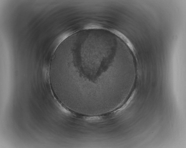 X0000112211337200908071446