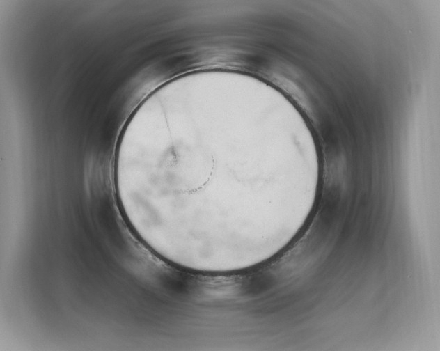 X0000112211338200908071446