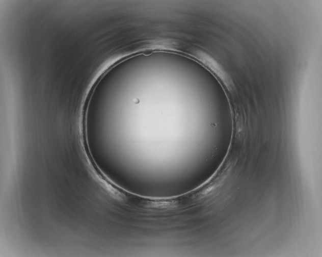X0000112211339200908071446