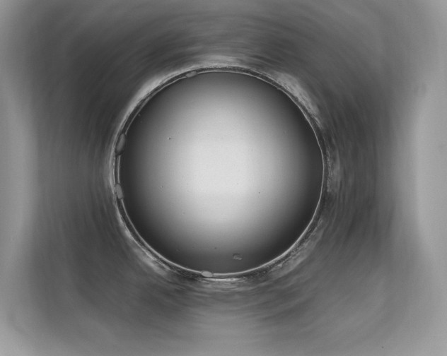 X0000112211342200908071446