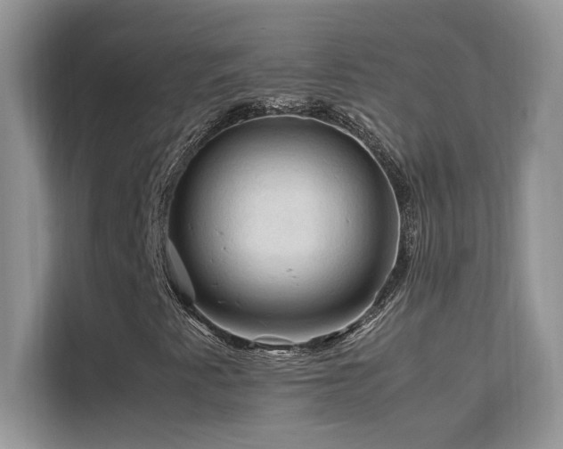 X0000112211345200908071446