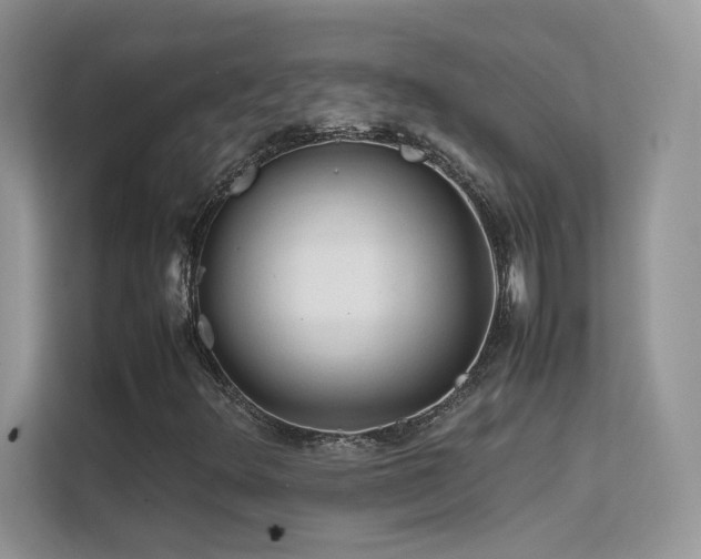 X0000112211348200908071446