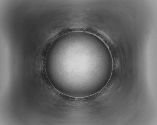 X0000112211350200908071446