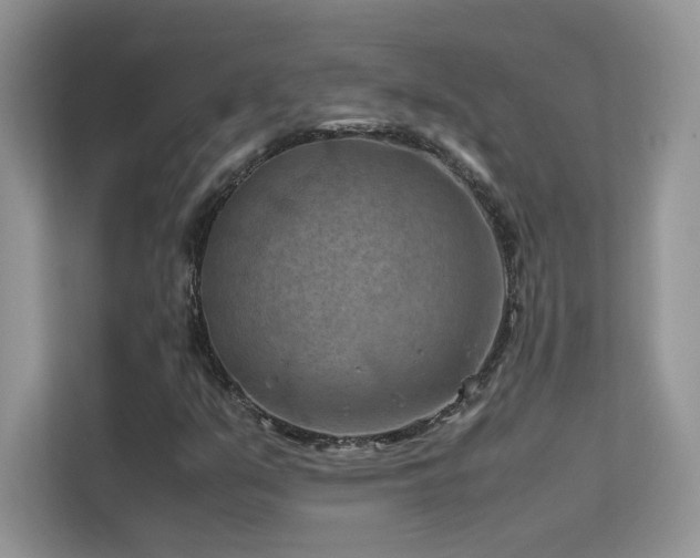 X0000112211351200908071446